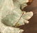Italian carved and painted wood bed coronet - 6