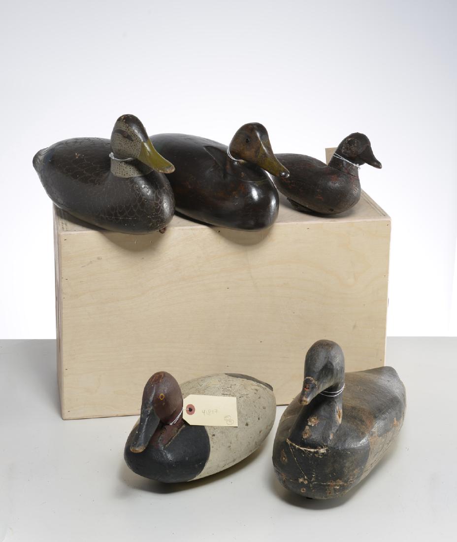 (5) old duck decoys, incl. Ward Bros. style (1 of 8)