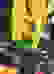 item-75525531=5