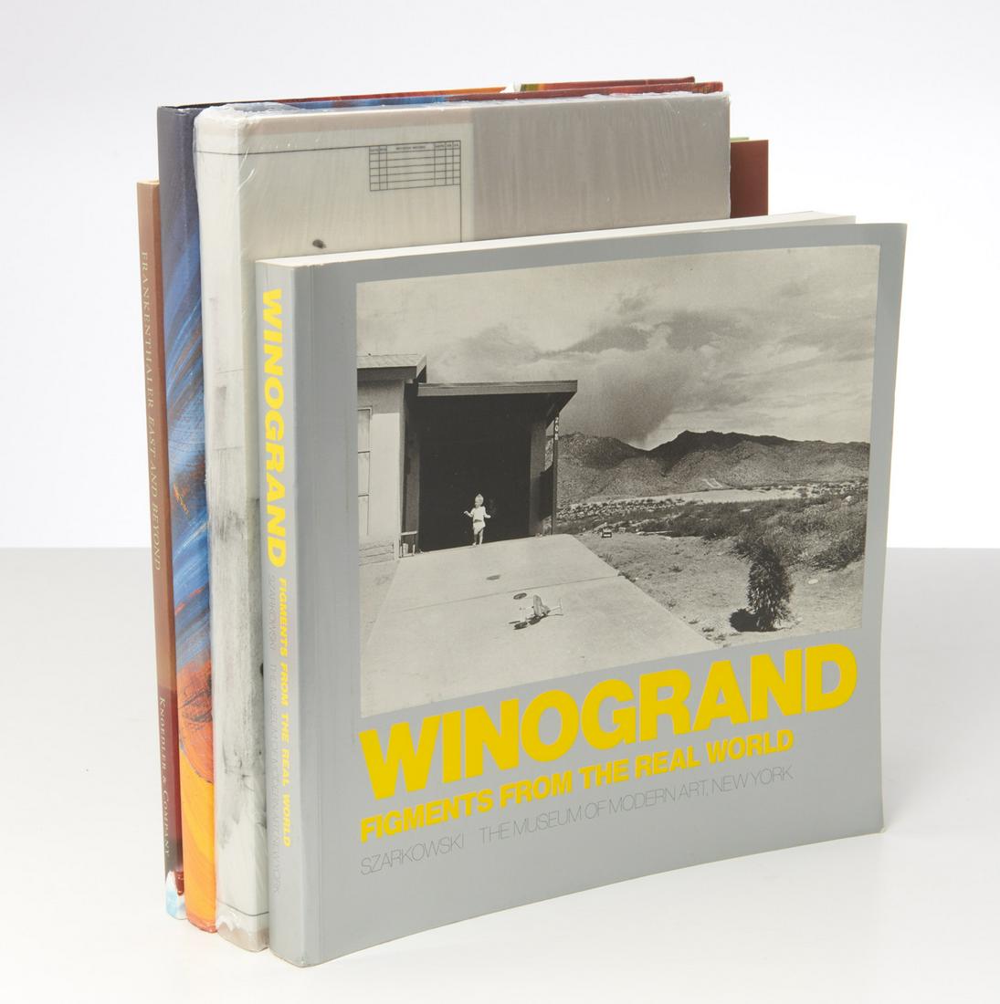 BOOKS: (4) Vols Art incl. Hodgkin, Frankenthaler (1 of 9)