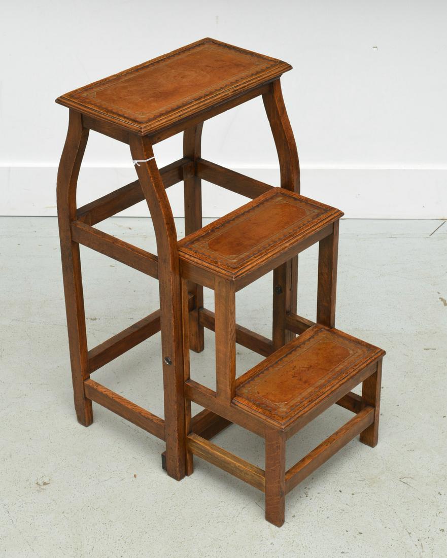 Edwardian metamorphic library steps (1 of 5)