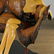 Frank Gallo, sculpture, 1967 - 5