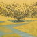 Antonio Frasconi, color woodcut - 4