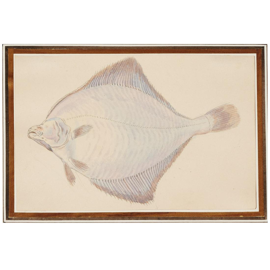 Robert Kretschmer, fish painting (1 of 4)