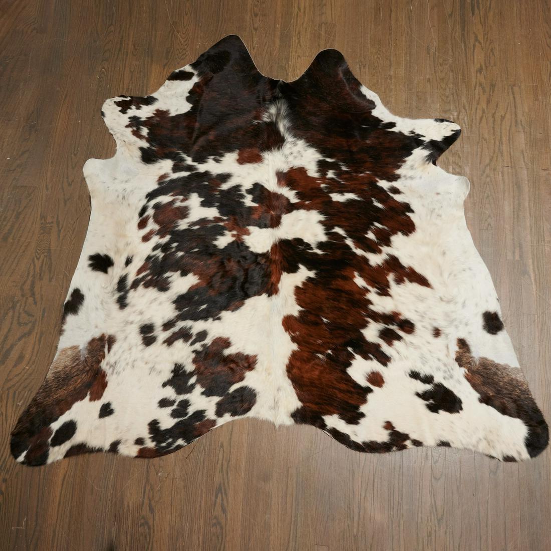 Cowhide throw rug (1 of 6)