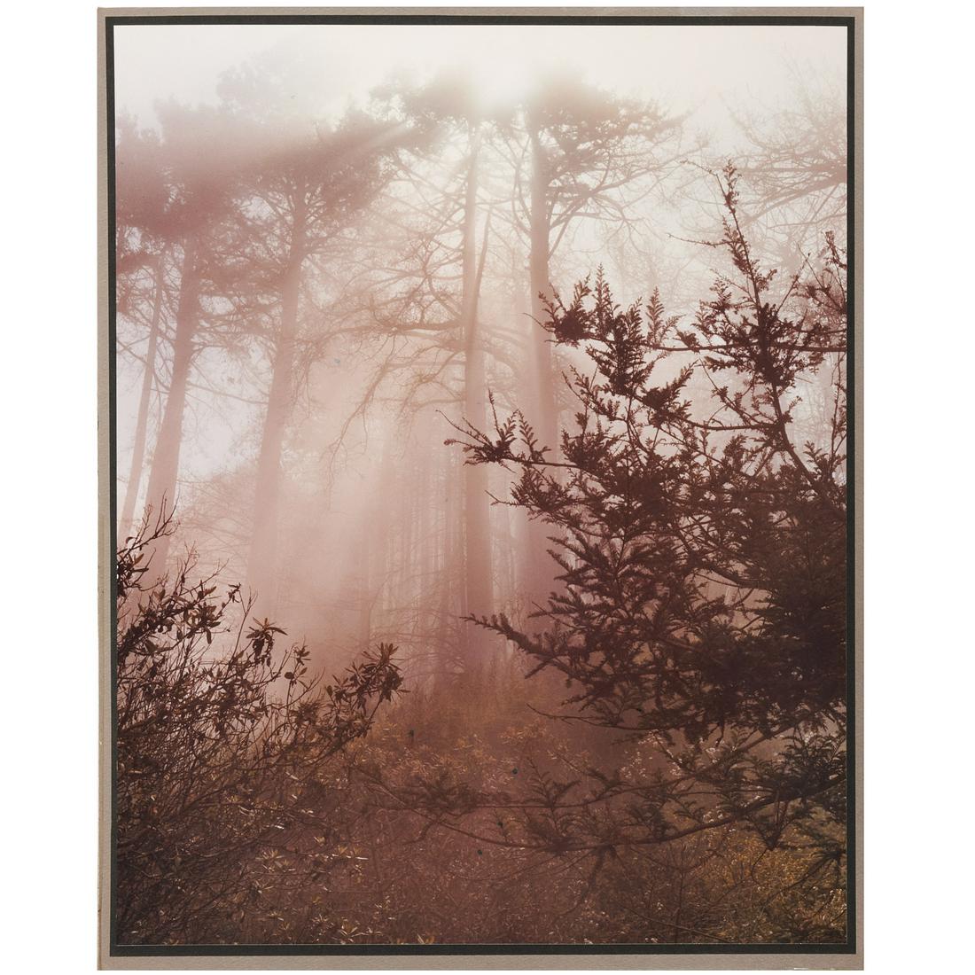 Larry Secrist, Big Sur photograph (1 of 7)