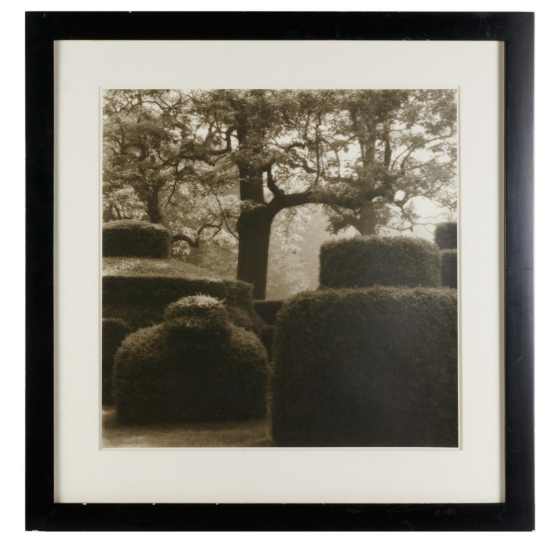 Lynn Geesaman, photograph (1 of 7)