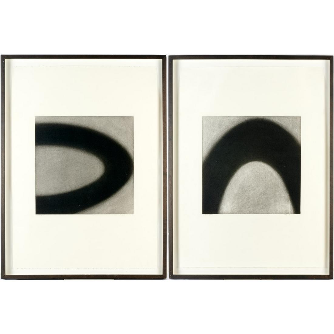 Margaret Neill, diptych drawing (1 of 9)
