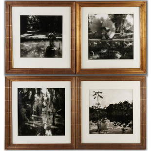 Sally Gall, (4) silver gelatin photographs: Sally Gall, (4) silver gelatin photographs, Sally Gall (American, b. 1956), "Rio, Botanical Garden #1", "Cherub", "Palmeto", and "Tropical Plants", gelatin silver prints, each pencil signed and titled