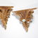 Large Italian Rococo style giltwood wall brackets - 4