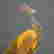 item-84860638=5