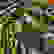 item-89208353=4