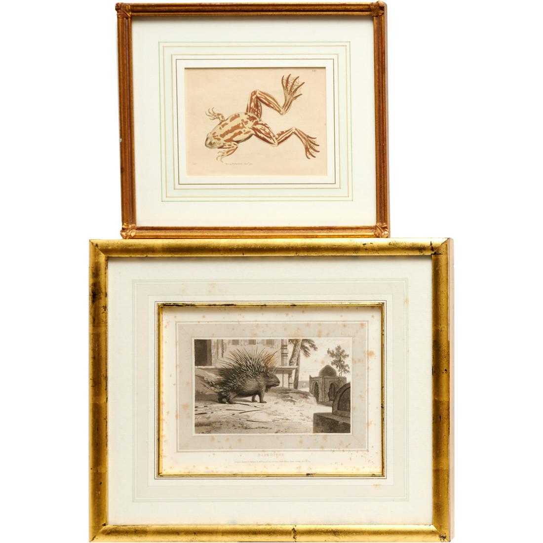 Pair of framed 18th/19th c. engravings (1 of 7)