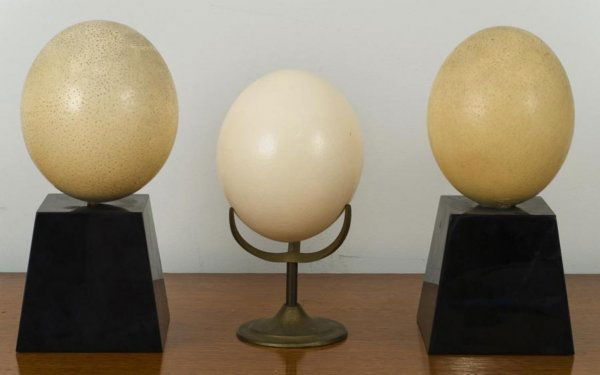(3) decorative mounted ostrich eggs: (3) decorative mounted ostrich eggs, 20th Century, including: (2) on black acrylic bases and another on brass stand, largest: 11"h x 4.75"squ. Provenance: The Doris Duke Charitable Foundation