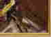 item-6805020=3