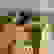 item-102571447=4