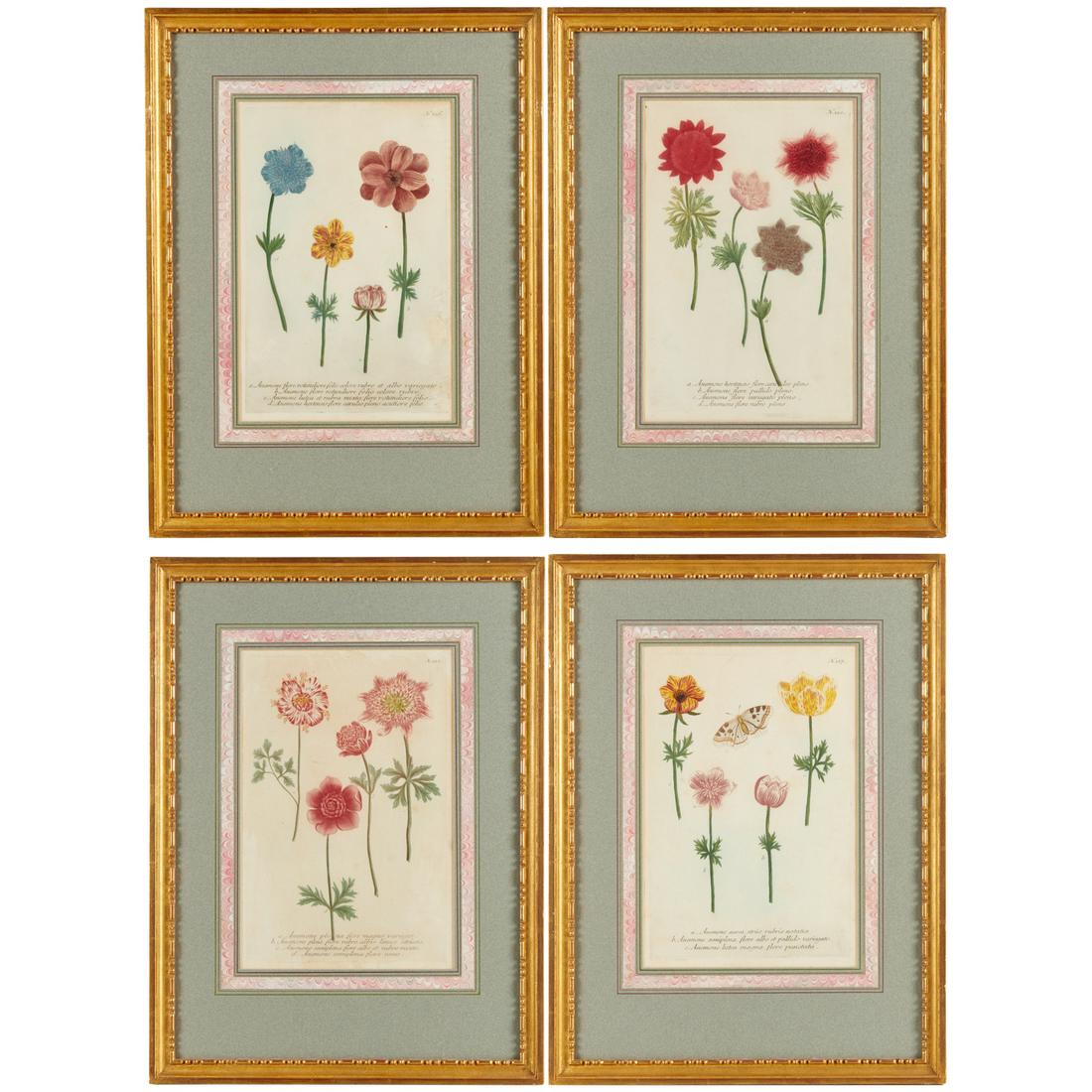 Johann Wilhelm Weinmann, (4) botanical engravings (1 of 7)