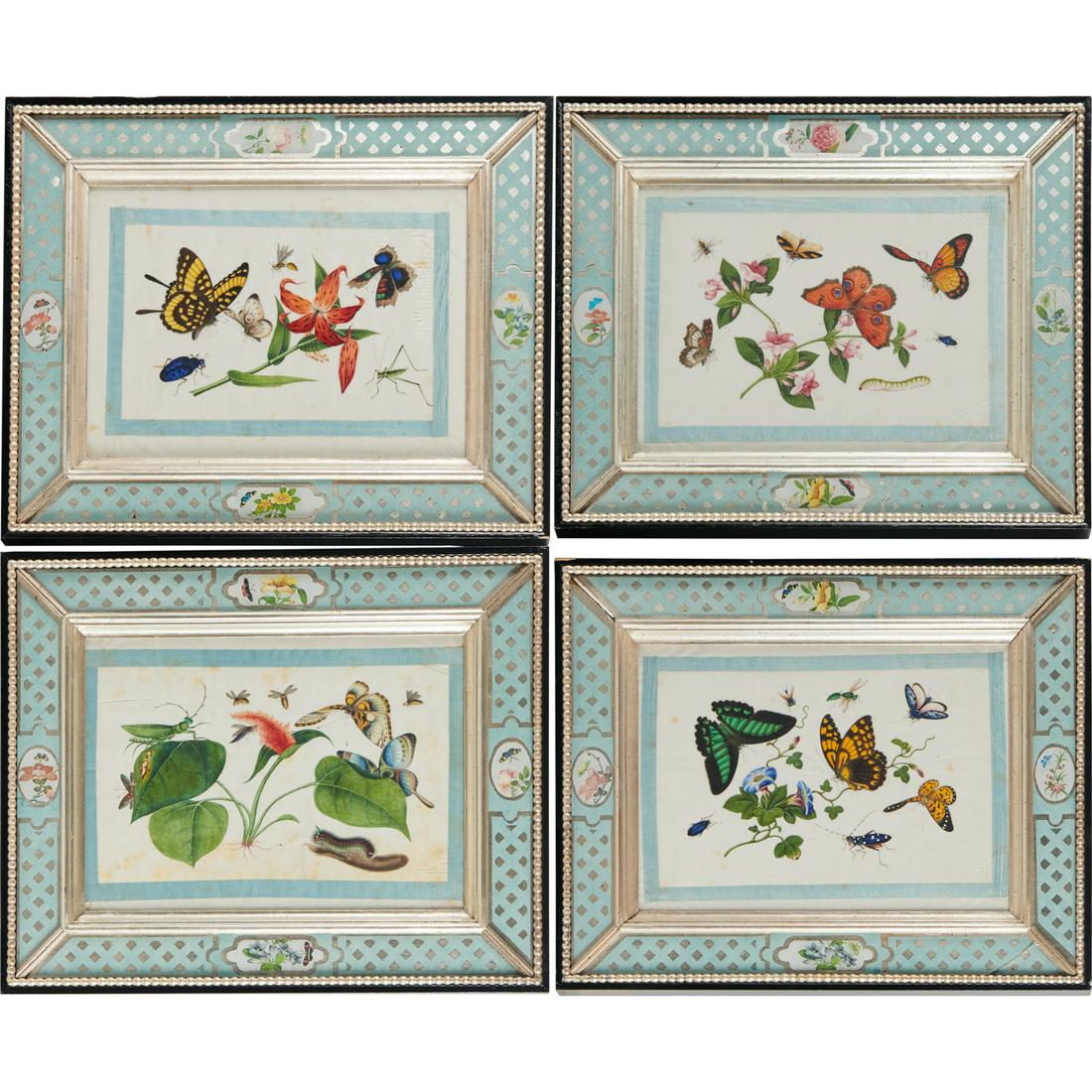 (4) Chinese Export insect and botanical paintings (1 of 7)