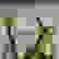 item-102580615=4