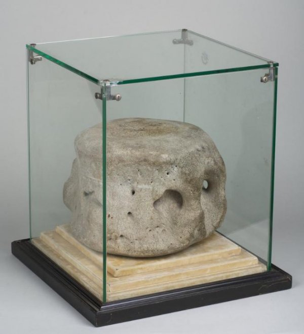 Antique whale vertebra bone in custom display case: Antique whale vertebra bone in custom display case, 19th/20th century, case: 15"h x 14"squ.