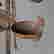 item-112683138=4