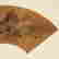 item-116428323=2