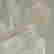 item-116428331=2