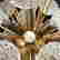 item-120923660=2