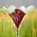 item-120923758=2