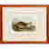 item-120924469=2