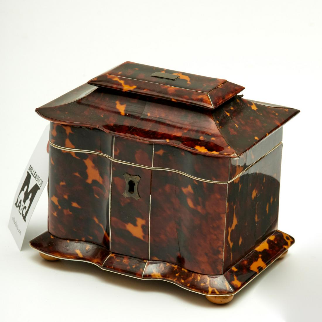 Nice English Regency tea caddy (1 of 7)