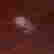 item-127648326=2