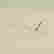 item-127648625=4