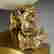 item-127648654=3