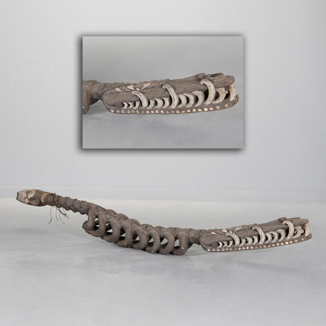 Papua New Guinea, large crocodile spirit carving: Papua New Guinea, large crocodile spirit carving, Possibly Sepik River, carved and painted wood with cowry shell and pigment, detailed ribs and vertebrae, with crocodile head at one end and animal wit