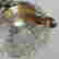 item-127649293=5