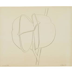 Joe D'Urso, drawing, 1971: Joe D'Urso, drawing, 1971, Joseph D'Urso (American, b. 1943), "Seed Pod", graphite on paper, signed "D'Urso" and dated lower right, titled lower left, copy of email from Mr. d'Urso attesting to the a