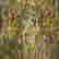 item-136957550=6
