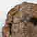 item-136958166=3