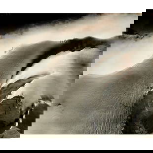 Brad Washburn, photograph: Brad Washburn, photograph, Bradford Washburn (American, 1910-2007), Swiss Alps, Boston Museum of Science/Washburn stamp verso, hinged along tap into mat, framed under glass, 15.5"h x 19"w (photograph)