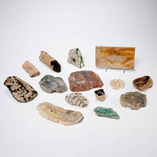 Mineral, fossil, and coral collection: Mineral, fossil, and coral collection, (14) pieces including jade, turquoise, petrified wood, and a fossil fish, 5.5"l x 3"w (largest), 1.5"h x 1"dia (smallest)