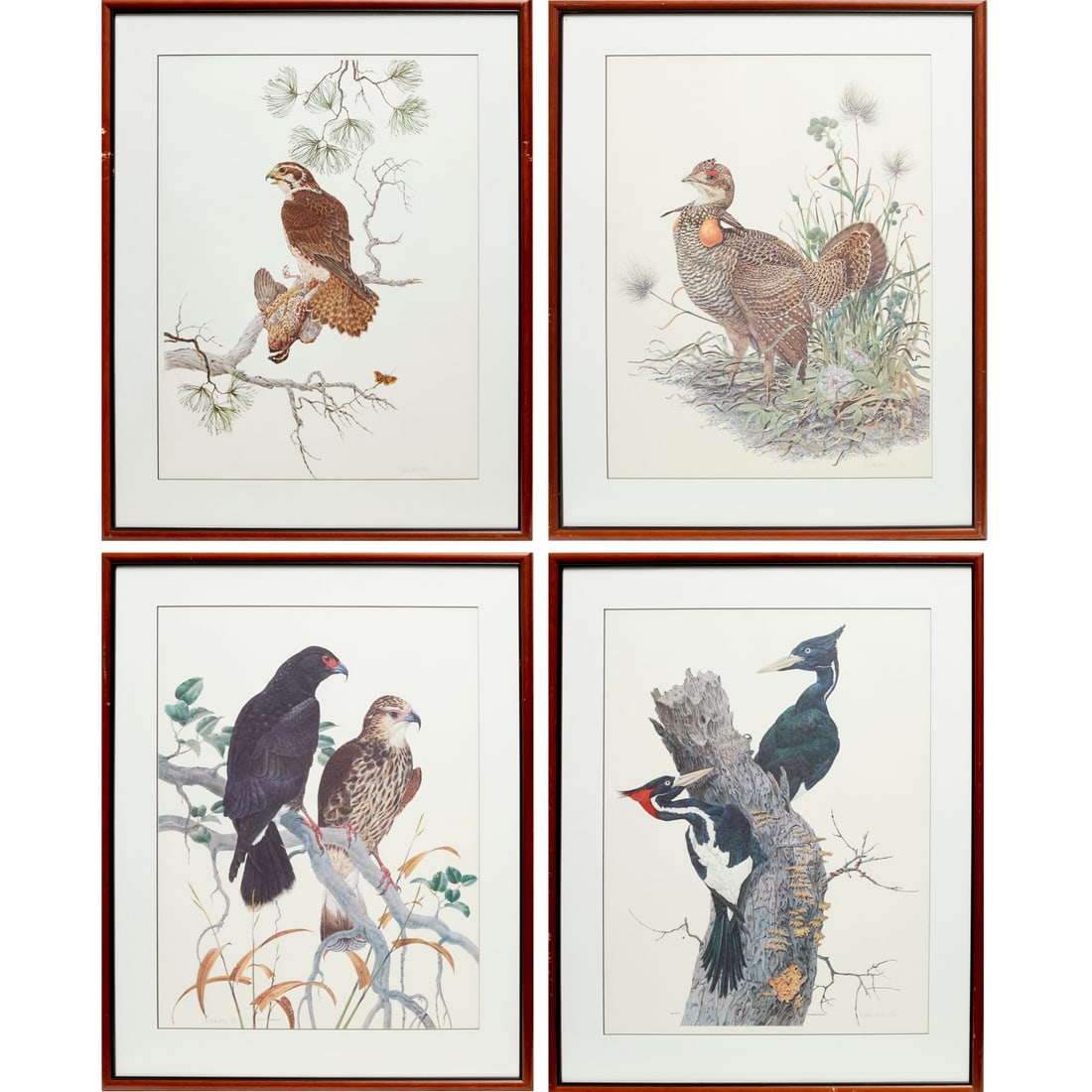 Robin Hill, (4) bird prints, signed: Robin Hill, (4) bird prints, signed, Robin Hill (Australian, b. 1932), offset prints, each pencil signed and numbered, lower margin, includes Ivory-billed Woodpecker, Greater Prairie Chicken, Everglad