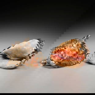 Pair Verdura silver-plated conch shells: Pair Verdura silver-plated conch shells, 20th c., Italy, silver plate over natural shell, one with round label stamped "Verdura/ Made in Italy", approx. 5"h x 9"l x 6"w (larger) Provenance: A Private