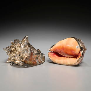 Pair Verdura silver-plated conch shells: Pair Verdura silver-plated conch shells, 20th c., Italy, silver plate over natural shell, one with round label stamped "Verdura/ Made in Italy", approx. 5"h x 9"l x 6"w (larger) Provenance: A Private