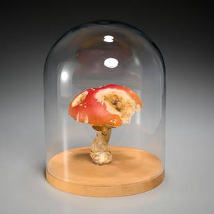 Roxy Paine, mushroom sculpture, 2003: Roxy Paine, mushroom sculpture, 2003, Roxy Paine (American, b. 1966), "Decaying Amanita #4", polymer, oil, lacquer, wood base, glass dome, gallery label underneath, approx. 6.5"h x 5.5"dia (mushroom),