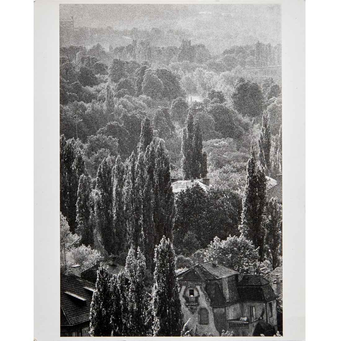 Andre Kertesz, photograph, 1971, signed (1 of 7)