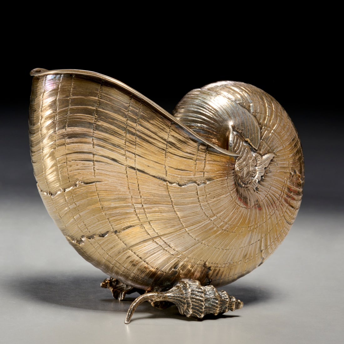 Buccellati sterling silver nautilus shell (1 of 6)