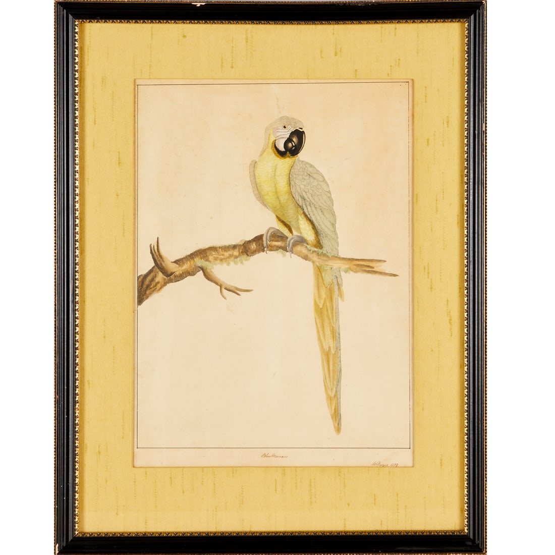 William Hayes, ink and watercolor drawing, 1779 (1 of 7)