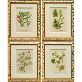 (4) Botanical prints, Trowbridge eglomise frames