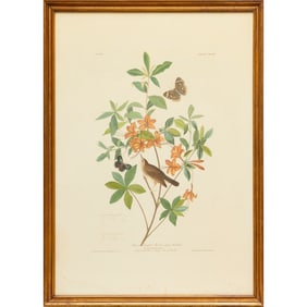 R. Havell, after Audubon, hand-colored engraving